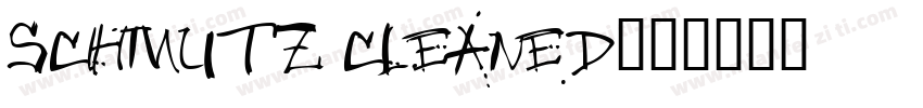 schmutz cleaned字体转换